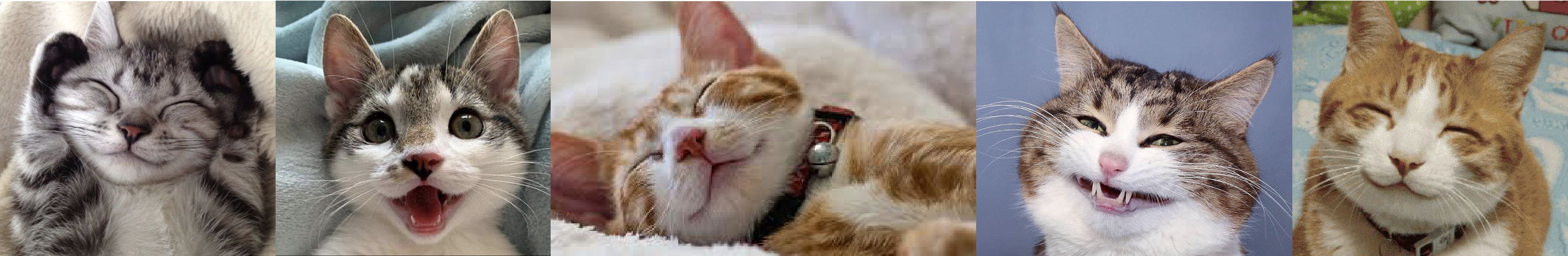 Kittilitt wood pellet cat litter