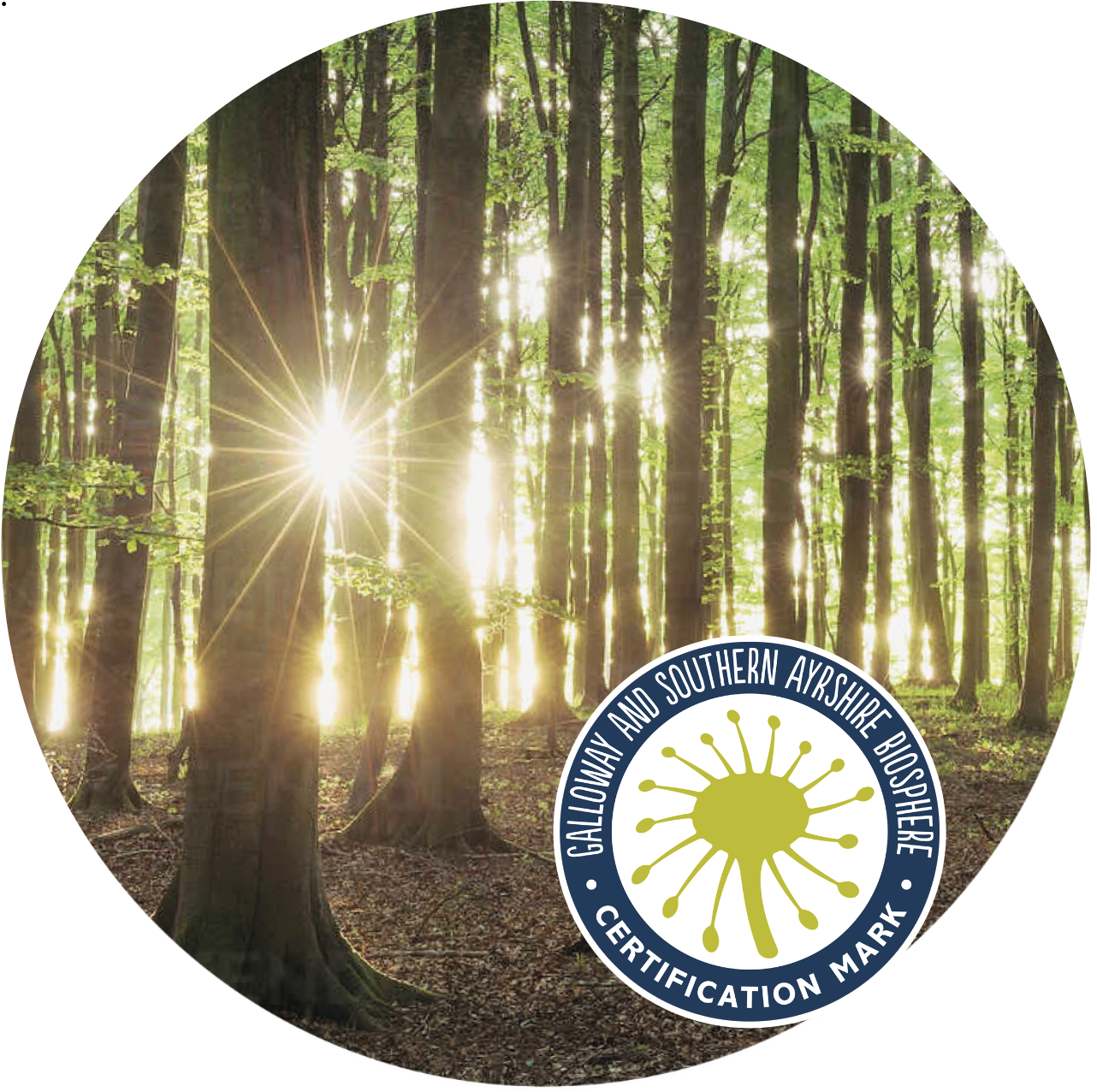 100% Sustainable wood pellet cat litter